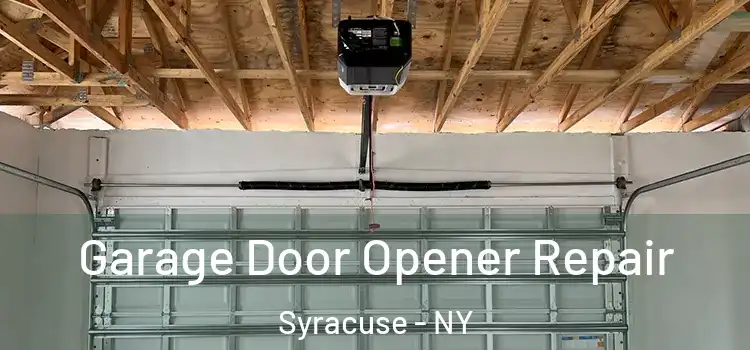  Garage Door Opener Repair Syracuse - NY