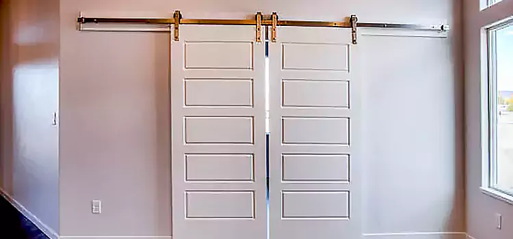 Glass Barn Door with Installation Hardware Kit Syracuse